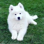 Antonin Basson - @antoninbasson - Instagram