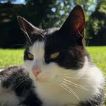 Anton Becker - @ant0n281 - Instagram