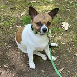 Anton Becker - @bergfan2 - Instagram