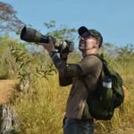 Antonio Thomé bird photography - @antoniothomebirdphotography - Instagram