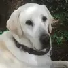 Anton Coetzee - @anton.coetzee96 - TikTok