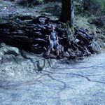 Anton Eder - @anton.eder.7315 - Instagram
