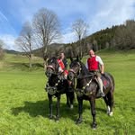 Toni Eder - @antoneder1 - Instagram