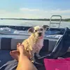 Manuela Anton Gerdes - @manuelaantongerdes - TikTok
