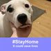 Antony Henderson - Facebook