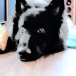 Achim Anton Hofmann - @hofmannachim - Instagram