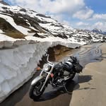 Anton Hofmann - @hofmann3111 - Instagram