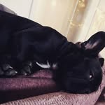 Anton Hofmann - @hofmanna236 - Instagram