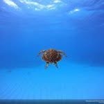 Anton Holland - @holland.anton - Instagram