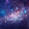 anton_houstonovich - @anton_houstonovich - TikTok