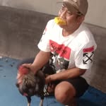 Joos Anton - @anton.joos - Instagram
