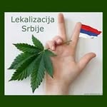 Antonije Tony Kovacevic - @antonijekovacevic - Instagram