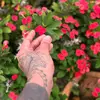 (Anton)(Lau)(69) - @antonlau69 - TikTok