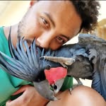 Anton Morrison - @antonswildlife - Instagram