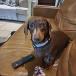 Anton Opperman - Facebook