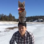 Anton Pham - @anton_pham - Instagram