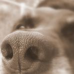 Stefan Preisinger - Facebook