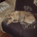 Anton Roos - @anton.roos.75 - Instagram