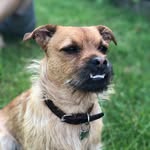 Anton Sørensen - @antonogjesper - Instagram