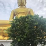 Anton Sørensen - @sorensen_anton - Instagram