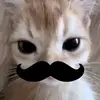 Anton Volkov - @anton.volkov7 - TikTok
