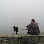 Anton Volkov. Dog behaviour specialist. Odessa. - @volkov_osobakah - Instagram