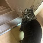 Anton Watson - @a.ton_watson77 - Instagram