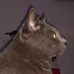 Antony Wolfshorndl - Facebook
