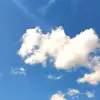 Antonella - @antonellaa.costa - TikTok