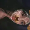 Antonella Herrera - @antonella.herrera863 - TikTok
