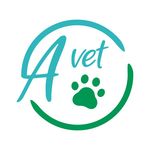Dra. Antonia Armstrong P. - @avetdomicilios - Instagram