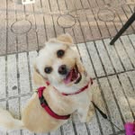 Antonia Arroyo - @antonia.arroyo.522 - Instagram