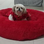 Antonia Risco Cueto - @antoniariscocueto - Instagram