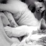 Antonia Davis Catafau - @antoniadavisc - Instagram