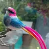 Antonia Gates672 - @antoniagates672 - TikTok