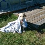 Antonia Grimaldi - Facebook
