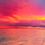 Antonia Grimaldi - @grimaldiantonia57 - Instagram
