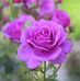 Antonia James - Facebook