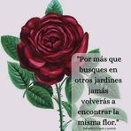 Antonia Mariscal Nuñez - Facebook