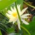 Antonia Mason - Facebook