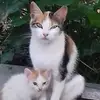 Antonia Mason - @antonia.mason - TikTok