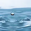 antoniaorren - @antoniaorren - TikTok