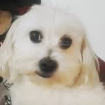 ANTONIA SEGUNDO - @anto.nia5152 - Instagram