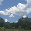 Antónia Strong - @antonialucasmiguel - TikTok