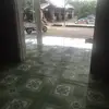Webster Antonia - @webster.antonia - TikTok