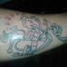 Antonino Como - Facebook