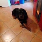 Antonino Vitale - Facebook