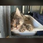 Vitale Antonino - @antonino.vitale - Instagram