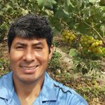 Antonio Abanto - @abanto.antonio - Instagram