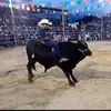 Abel Antonio - @abel.antonio168 - TikTok